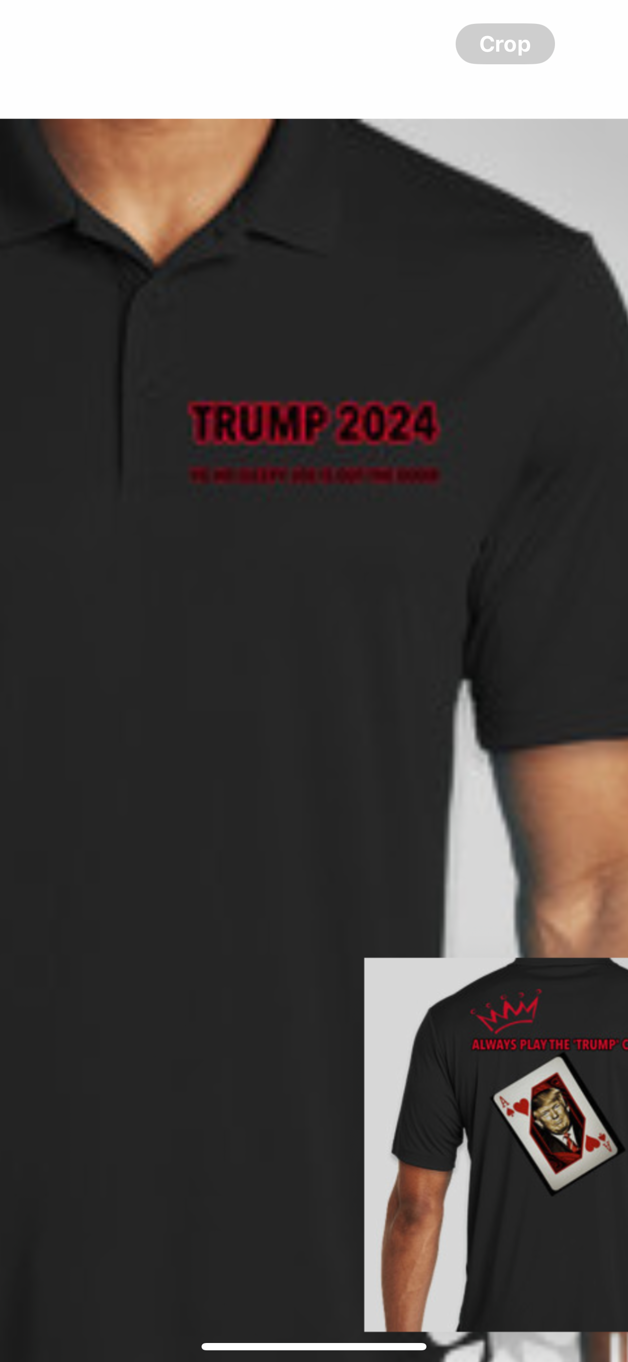 Trump 2024